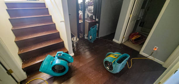 Best Local water damage restoration  in Southport, CT