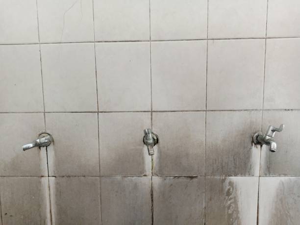 Best Water damage contractors near me  in Southport, CT
