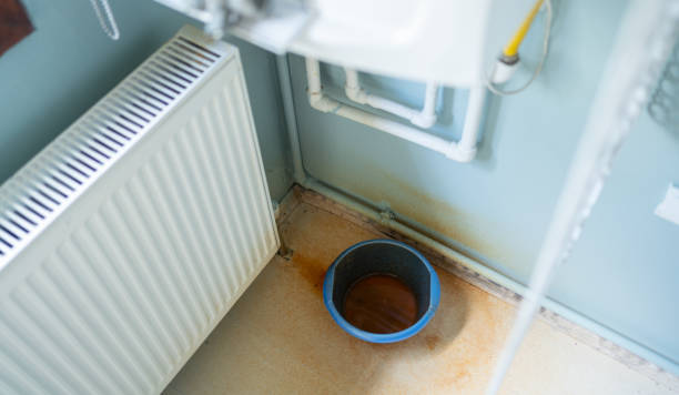 Best Professional water damage repair  in Southport, CT