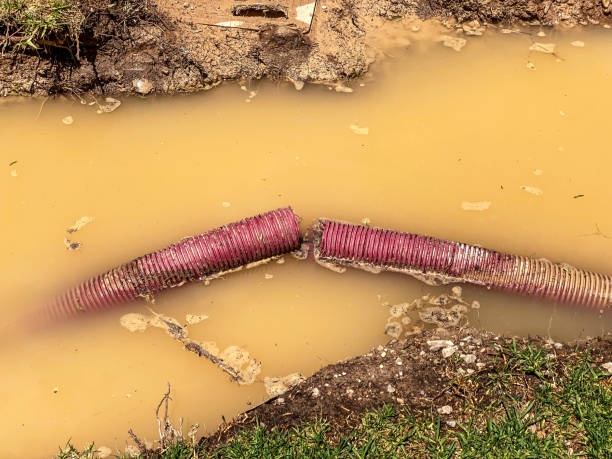 Best Water damage repair service  in Southport, CT