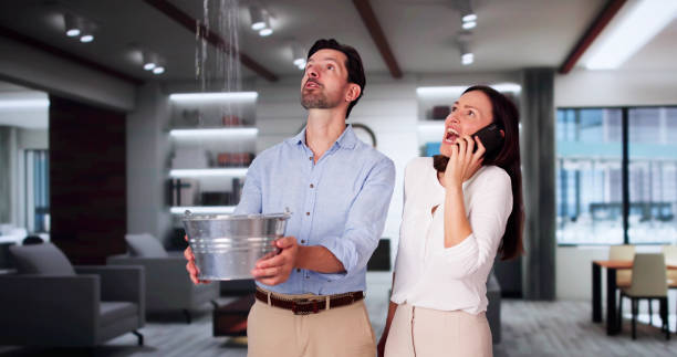 Best Sewage cleanup and water damage restoration  in Southport, CT