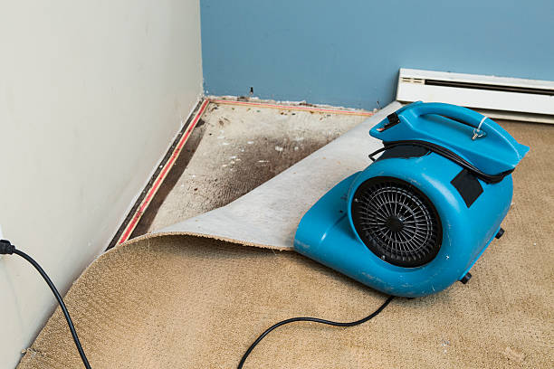 Best Fire Damage Restoration  in Southport, CT